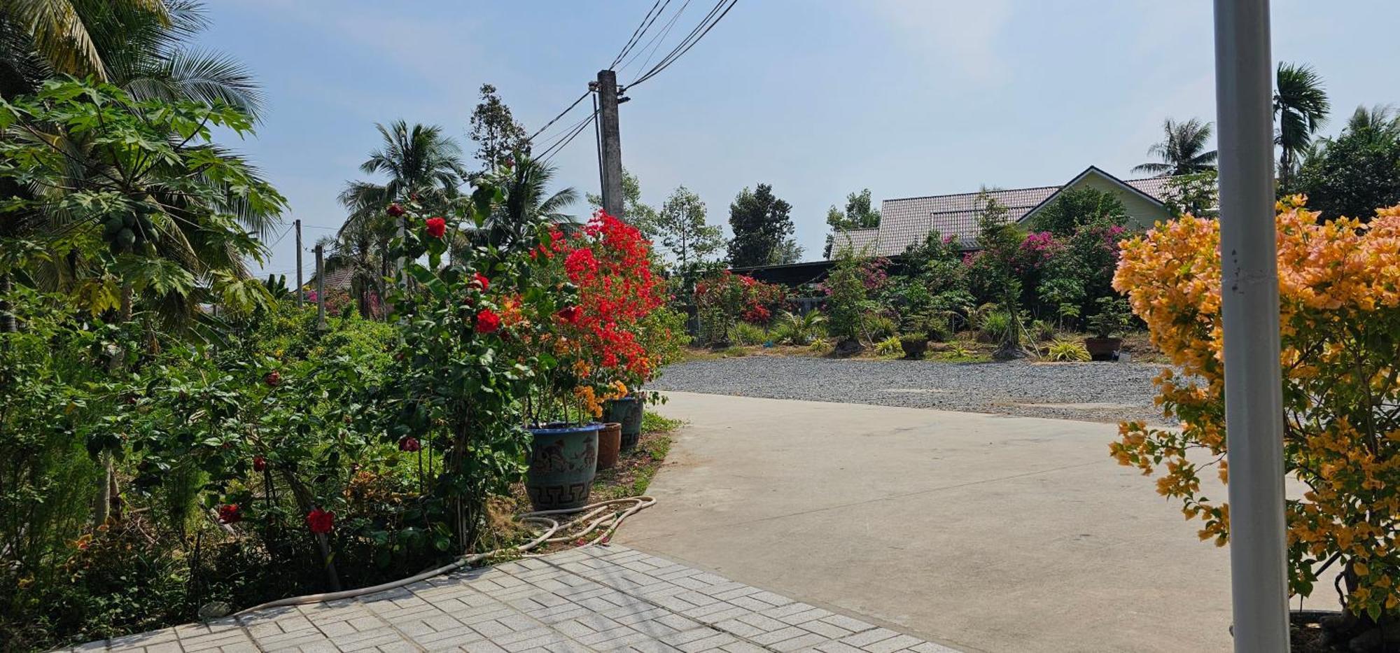 Nhà nghỉ Trúc Mây Ben Tre Exterior foto