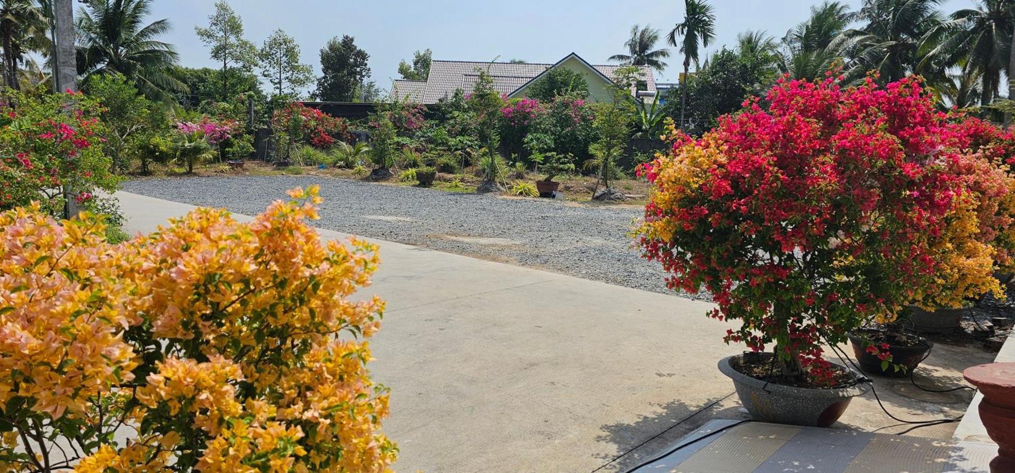 Nhà nghỉ Trúc Mây Ben Tre Exterior foto