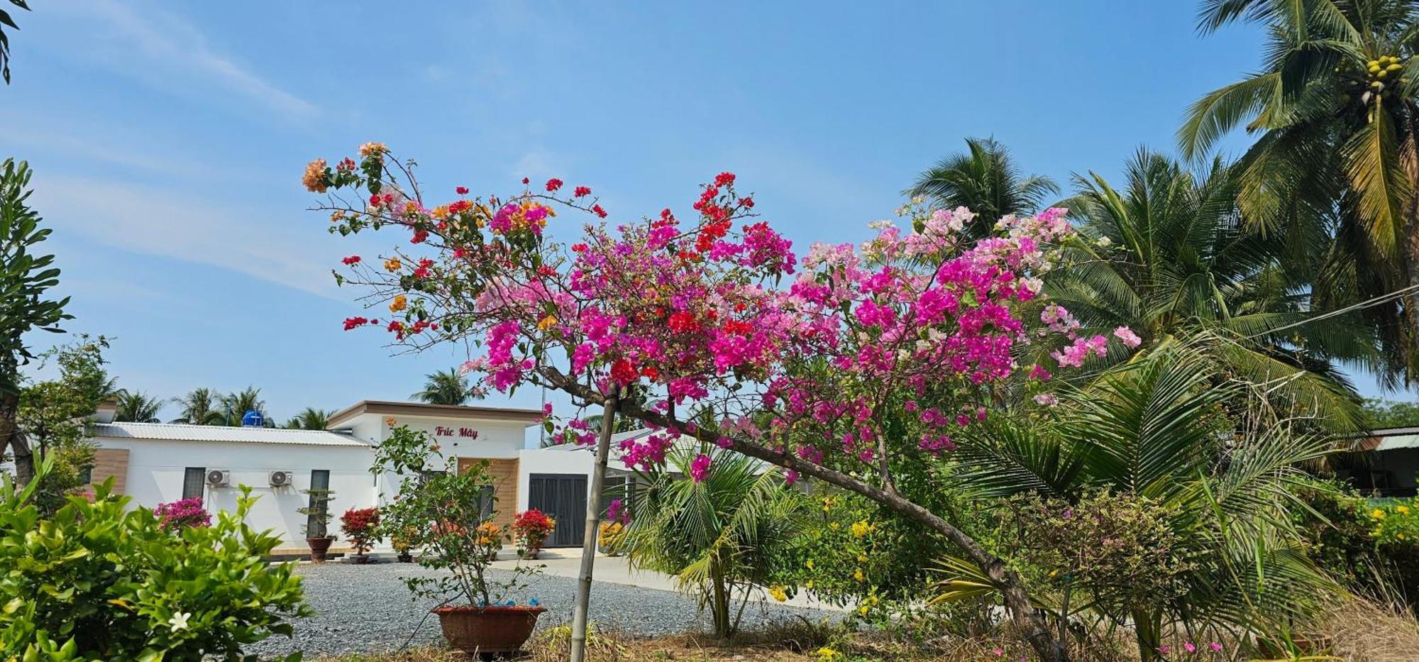 Nhà nghỉ Trúc Mây Ben Tre Exterior foto